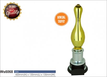 ถ้วยรางวัล ซิลเวอร์ Ws6068