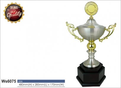ถ้วยรางวัล ซิลเวอร์ Ws6075