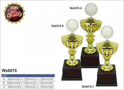 ถ้วยรางวัล ซิลเวอร์ Ws6076