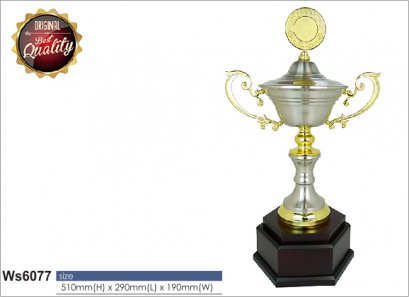 ถ้วยรางวัล ซิลเวอร์ Ws6077
