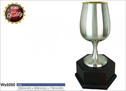 ถ้วยรางวัล ซิลเวอร์ Ws6080