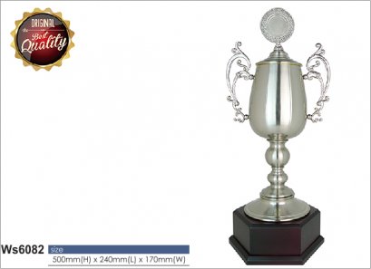 ถ้วยรางวัล ซิลเวอร์ Ws6082