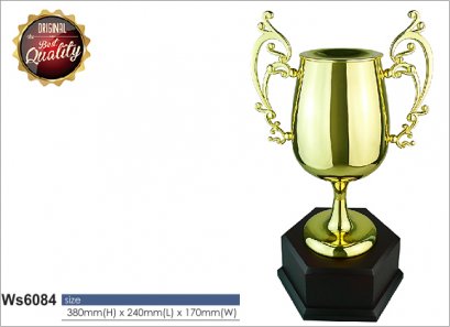 ถ้วยรางวัล ซิลเวอร์ Ws6084