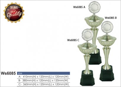 ถ้วยรางวัล ซิลเวอร์ Ws6085
