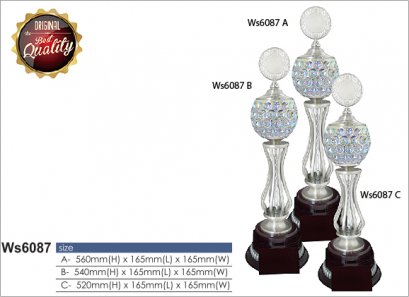 ถ้วยรางวัล ซิลเวอร์ Ws6087