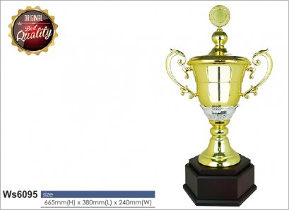 ถ้วยรางวัล ซิลเวอร์ Ws6095