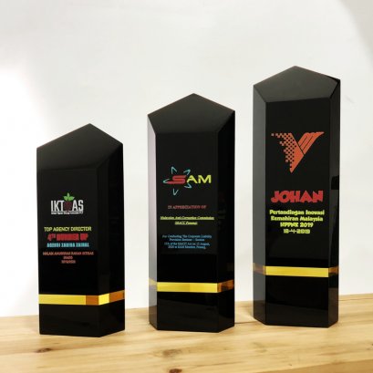 โล่คริสตัล 3109