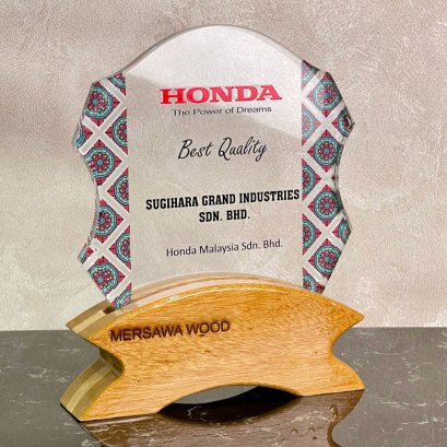 โล่คริสตัล 3113