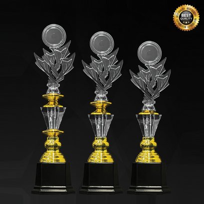 ถ้วยรางวัลอะคริลิค 4348