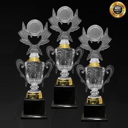 ถ้วยรางวัลอะคริลิค 4354