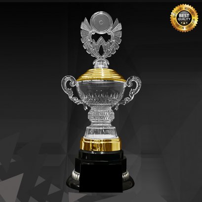 ถ้วยรางวัลอะคริลิค 4359