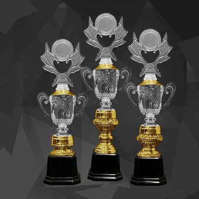 ถ้วยรางวัลอะคริลิค 4361