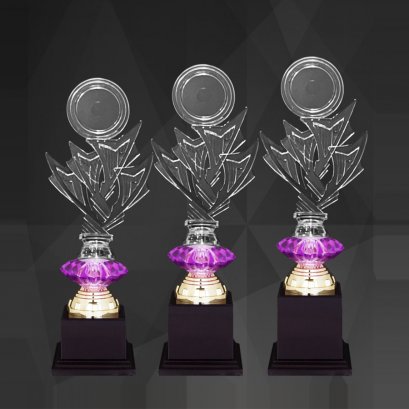 ถ้วยรางวัลอะคริลิค 4366