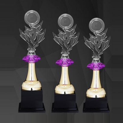 ถ้วยรางวัลอะคริลิค 4367