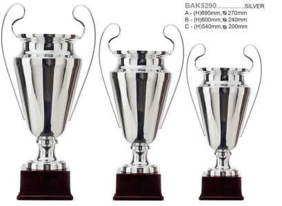 ถ้วยรางวัลโลหะ BAK5290