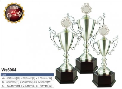 ถ้วยรางวัลซิลเวอร์ 6064