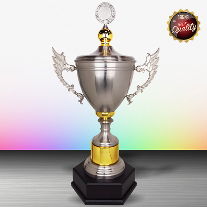 ถ้วยรางวัล ซิลเวอร์ Ws6117
