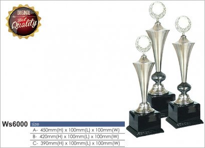 ถ้วยรางวัล ซิลเวอร์ Ws6000