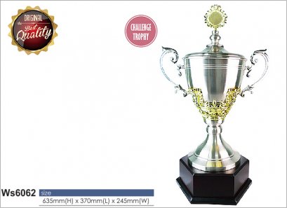 ถ้วยรางวัล ซิลเวอร์ Ws6062