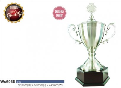 ถ้วยรางวัล ซิลเวอร์ Ws6066 