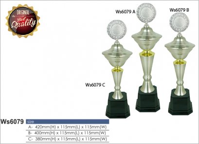 ถ้วยรางวัลซิลเวอร์ Ws6079