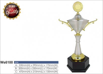 ถ้วยรางวัลซิลเวอร์ Ws6100