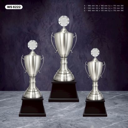 ถ้วยรางวัล ซิลเวอร์ Ws6222