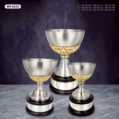 ถ้วยรางวัล ซิลเวอร์ Ws6223