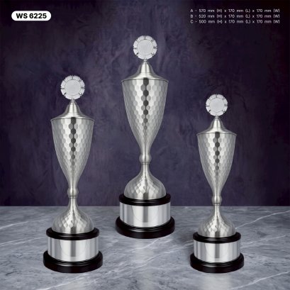 ถ้วยรางวัล ซิลเวอร์ Ws6225