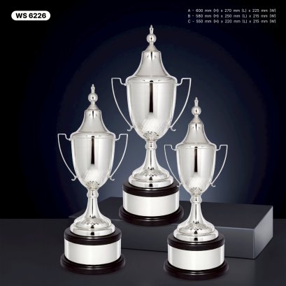 ถ้วยรางวัล ซิลเวอร์ Ws6226