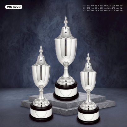 ถ้วยรางวัล ซิลเวอร์ Ws6229