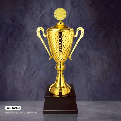 ถ้วยรางวัล ซิลเวอร์ Ws6240