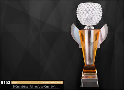 ถ้วยรางวัล 9153