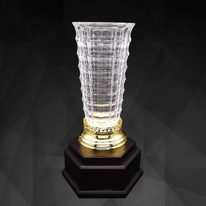 ถ้วยรางวัล 9195