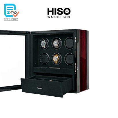 VT6+4 &mdash; 6 Watch Winders + 4 Watch Storage