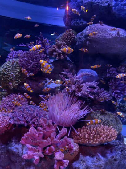 SEA LIFE Bangkok