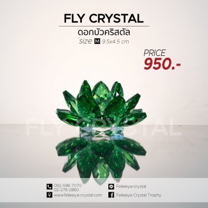 ดอกบัวคริสตัล,Lotus Crystal