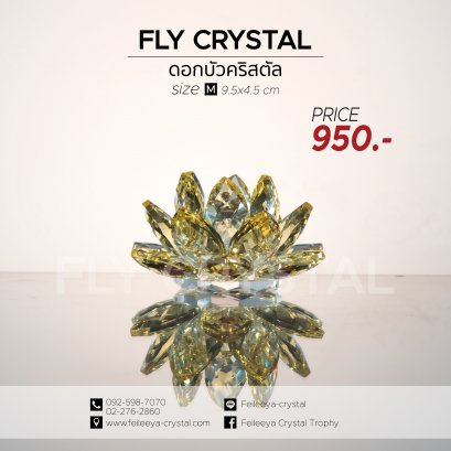 ดอกบัวคริสตัล,Lotus Crystal