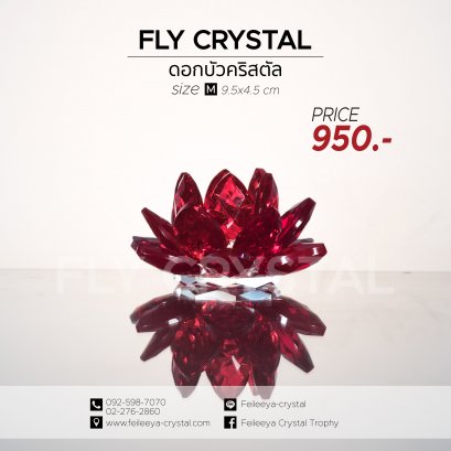 ดอกบัวคริสตัล,Lotus Crystal 