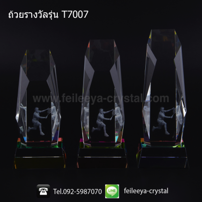 ถ้วยรางวัลคริสตัลกีฬาต่าง ๆ