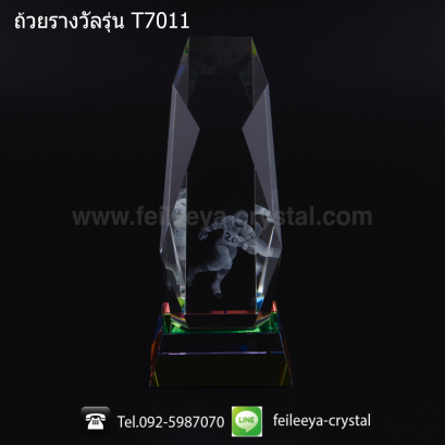 ถ้วยรางวัลคริสตัลกีฬาต่าง ๆ