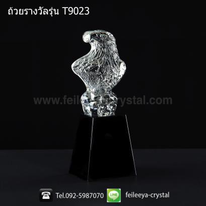 ถ้วยรางวัลคริสตัลทรงทั่วไป