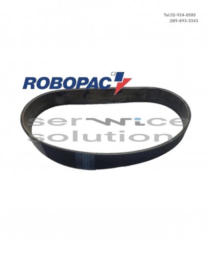 BELT &quot;POLY V&#039; SEZ.J L=559 Z=12