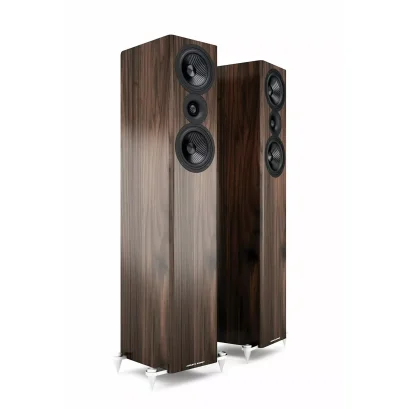 AE509