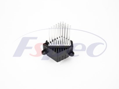 BMW E39/E46/E53 RESISTOR FSPEC