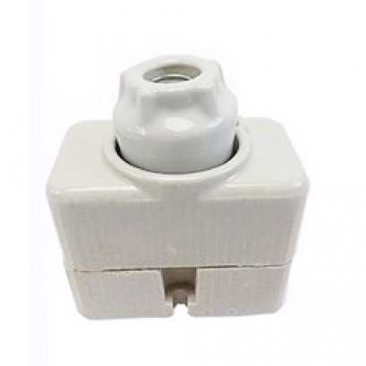 คัทติกฟิวส์กระเบื้อง  คัทติกฟิวส์ดอกเห็ด