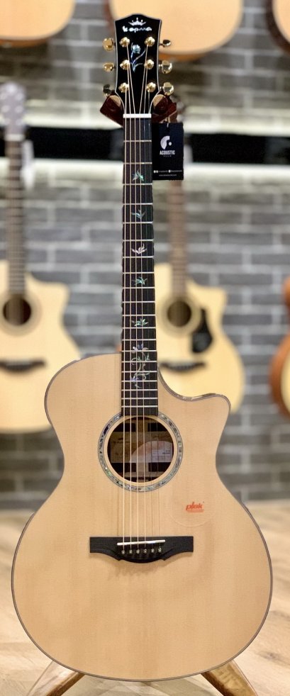 Kepma B1 GA  All Solid Acoustic Guitar with TKL hardshell case