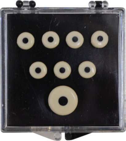 Martin Bridge pin &amp; Endpin Set White with black dot