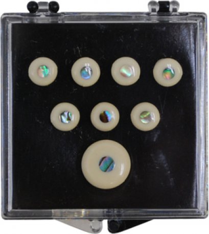 Martin Bridge pin &amp; Endpin Set White with pearl inlaid