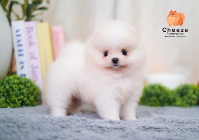 Ch1250G
